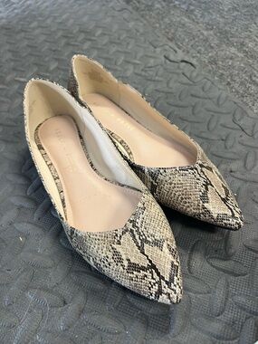 Kelly & Katie Snake-Print Pointed Flats in Beige and Black